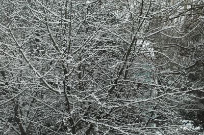 dontsitundertheappletree 12-20-07 09.jpg