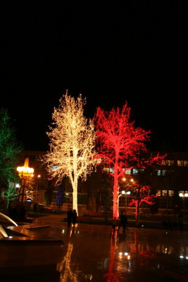 Electric Trees 4 Baku Azerbaijan.JPG