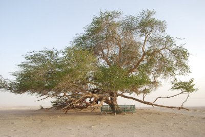 Photos taken in Bahrain courtesy of Hussain