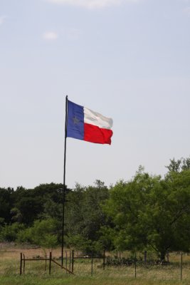 The lone star state flag