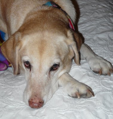 My oldster