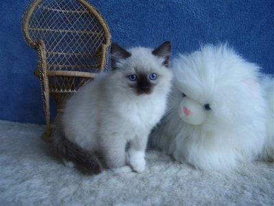 Kenna at 9 weeks
