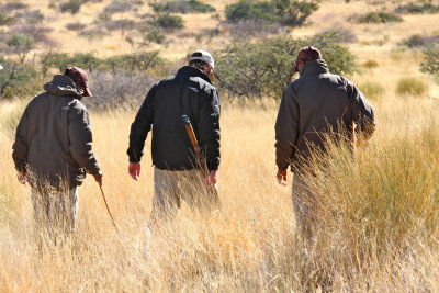 Our guide (middle) and tracker (left) join another tracker to follow lion prints.  Sure, THEY took the rifle.