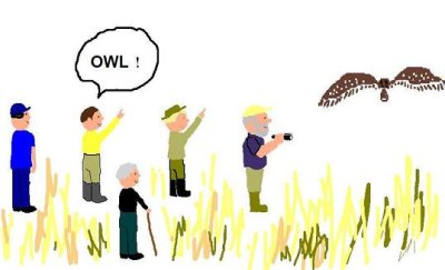 Robert, Dan, Doris, me, Craig, Short-eared Owl (we were all too excited to take photos!)