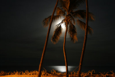 Fiji Moon Set.jpg