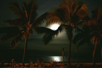 Fiji Moon Set 2.jpg