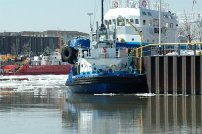 sorel
