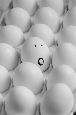 oeufs