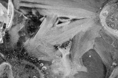 ice