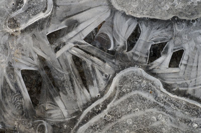 ice XIV