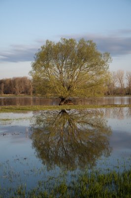 _DSC8902