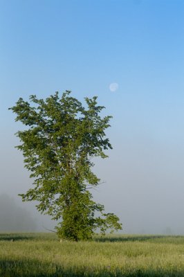 _DSC1655