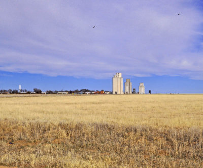 The complete town of Pritchett, CO and elevators.