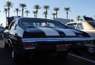 IMG_0010sm.jpg