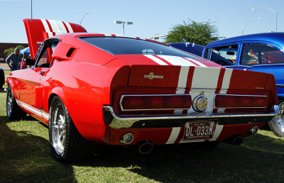 IMG_0546sm.jpg