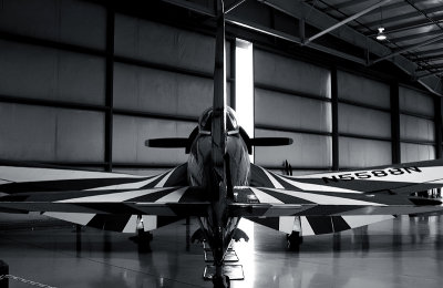 Gull Wing Sunrise