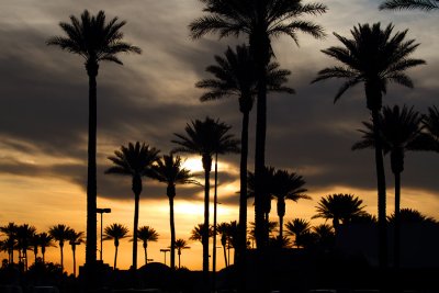 Sonoran Sunset 0206.jpg