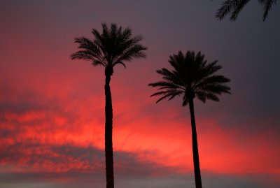 Crimson Sunset 8932.jpg