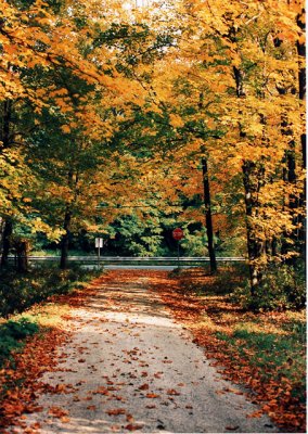 BeverlyLn.1093b.sm.jpg