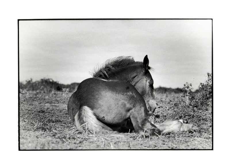 Vent arrire  (FB Warm Tone Print)