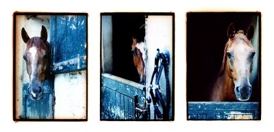 Triptique_Traitement_Crois_Tirage.bmp