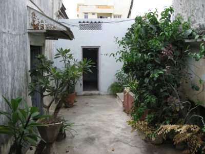 Roof Top Garden