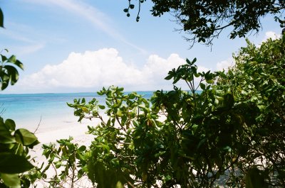 MISALI ISLAND- PEMBA ZANZIBAR