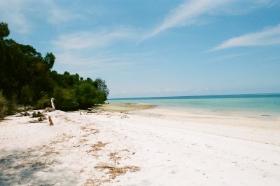 MISALI ISLAND- PEMBA ZANZIBAR