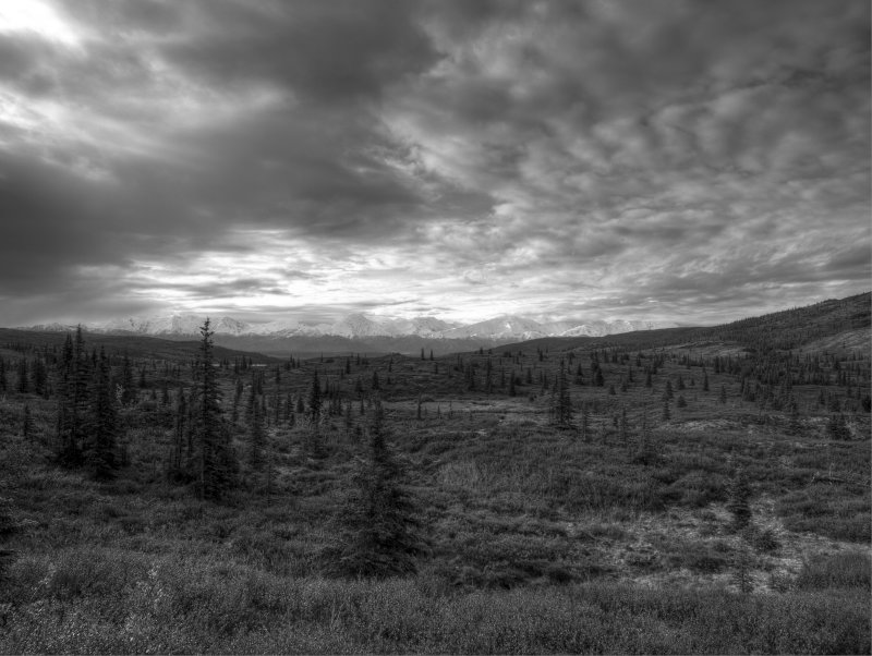 sunset on the tundra