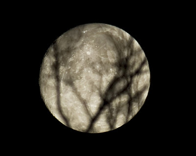 winter moon