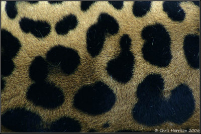 g1/15/915115/3/112720787.wF6qbBcQ.jpg
