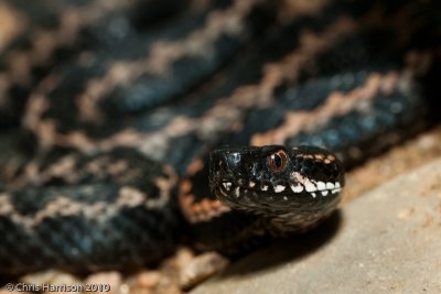 g1/15/915115/3/126061838.O4m5R8Dw.jpg
