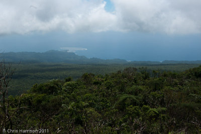 view from Des Voeux PeakTaveuni, Fiji