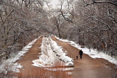 Best Friends Strolling In The Bosque