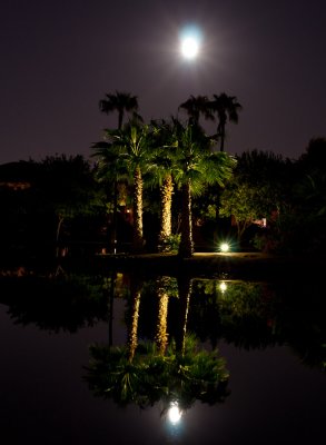 Paradise Moonlight Reflection