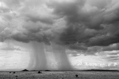 AA-Open-Rain Cloud #1.jpg