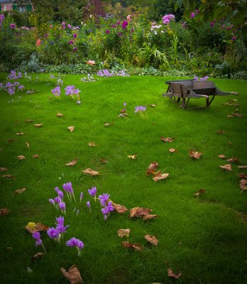 B-Open-Monet's Garden.jpg