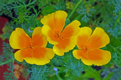 IMG_1201a.jpg