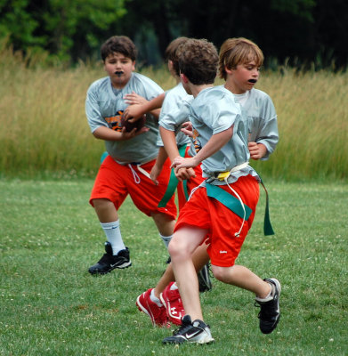 Cascades Flag Football Spring 2010 Playoffs Game 2: Browns vs Redskins