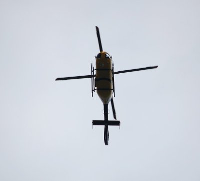 Eaglesw5.045.JPG