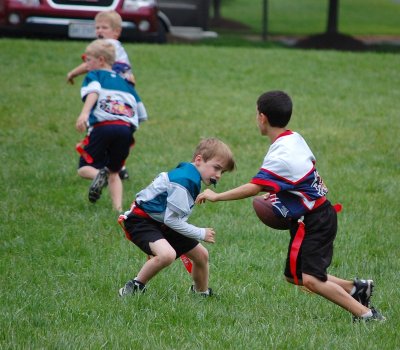 Eaglesw5.049.JPG