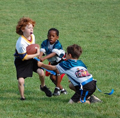 EaglesW7.021.JPG