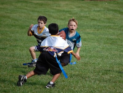 EaglesW7.085.JPG