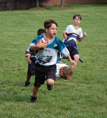 EaglesW7.094.JPG