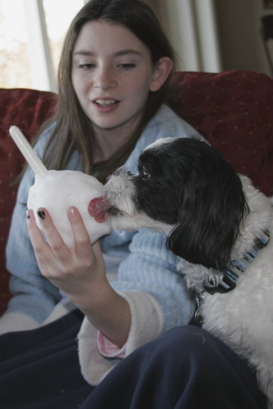 Tucker eats snowball