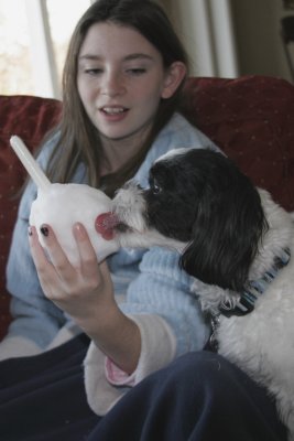Tucker eats snowball