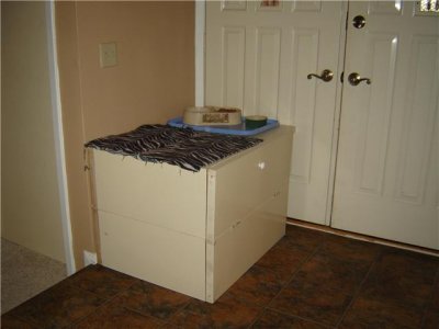 A Front entry with Cat Cabinet