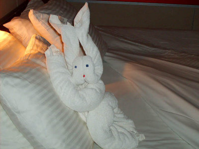 New towel animal ....Oh Bunny