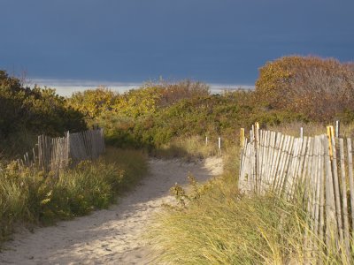 Dune, Sandy Point