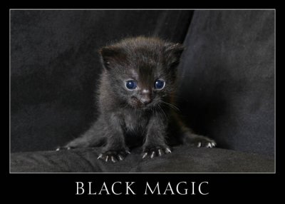 black_magic.jpg